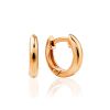 Glossy Gilded Hoop Earrings, image 