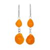 Fabulous Amber Earrings, image 