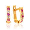 Chic Two Tone Crystal Earrings, image 