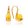 Sleek Earrings With Natural Amber, image 