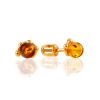 Luminous Amber Stud Earrings, image 