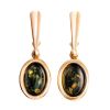 Drop Amber EarringsIn Gold-Plated Silver The Goji, image 