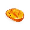 Lemon Amber Stone With Inclusion, image 