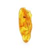 Natural Amber Stone With Fly Inclusion, image 