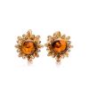 Cognac Amber Earrings In Gold-Plated Silver The Aster, image 