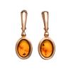 Drop Amber Earrings In Gold-Plated Silver The Goji, image 
