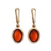 Drop Amber Earrings In Gold-Plated Silver The Goji, image 