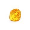 Natural Amber Souvenir Stone With Inclusion, image 