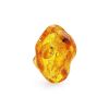 Unique Amber Stone With Insect Inclusions, image 