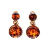 Cognac Amber Earrings In Gold-Plated Silver The Paris, image 