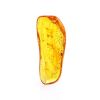 Amber Souvenir Stone With Insect Inclusions, image 