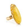 Elongated Amber Ring In Gold, Ring Size: Adjustable, image 