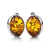 Lovely Amber Earrings In Sterling Silver The Suite, image 