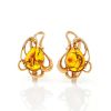 Floral Amber Earrings In Gold-Plated Silver The Daisy, image 