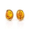 Amber Earrings In Gold-Plated Silver The Strauss, image 