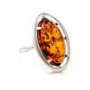 Sterling Silver Ring With Cognac Amber The Elegy, Ring Size: 12 / 21.5, image 
