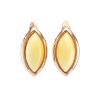 Amber Earrings In Gold The Amaranth, image 