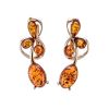 Golden Earrings With Cognac Amber The Symphony, image 