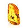 Souvenir Amber Stone With Floral Inclusion, image 