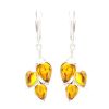 Floral Amber Earrings In Sterling Silver The Verbena, image 