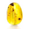 Colombian Amber Stone With Inclusions, image 