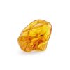 Natural Amber Stone With Mosquito Inclusion, image 