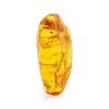 Amber Stone With Insect Inclusion, image 