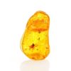 Natural Amber Stone With Insect Inclusion, image 