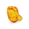 Glossy Amber Stone With Fly Inclusion, image 