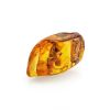 Amber Souvenir Stone With Inclusion, image 