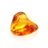 Glossy Amber Stone With Insect Inclusion, image 