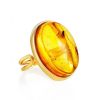 Amber Gold Plated Cocktail Ring With Insects The Clio, Ring Size: Adjustable, image 