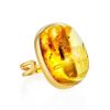 Amber Cocktail Ring With Insect Inclusions The Clio, Ring Size: Adjustable, image 