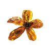 Raw Amber Floral Brooch The Volcano, image 