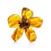 Natural Amber Floral Brooch The Volcano, image 