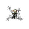 Sterling Silver Brooch With Amber And Enamel The Frog, image 