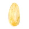 Textured Honey Amber Souvenir Stone, image 