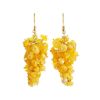 Honey Amber Drop Earrings The Fable, image 