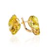 Golden Latch Back Earrings With Citrine, image 