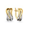 Two Toned Silver Earrings, image 