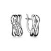 Glossy Silver Earrings, image 