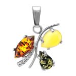 Bold Multicolor Amber Earrings In Sterling Silver The Verbena, image , picture 5