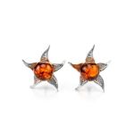 Delicate Amber Studs In Sterling Silver The Persimmon, image 