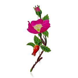 Flamboyant Dog Rose Motif Enamel Brooch, image 