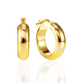 Chunky Gilded Hoop Earrings, image 