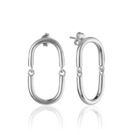 Glossy And Sleek Oval Shaped Earrings, image 