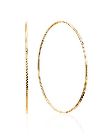 Chic Golden Hoop Earrings, image 