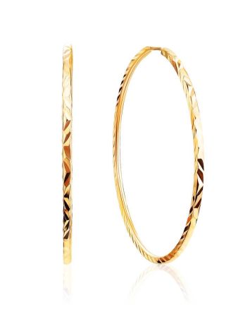 Stylish Golden Hoop Earrings, image 