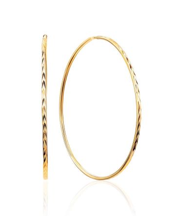 Fashionable Golden Hoop Earrings, image 