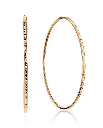Chic Lightweight Golden Hoop Earrings, image 